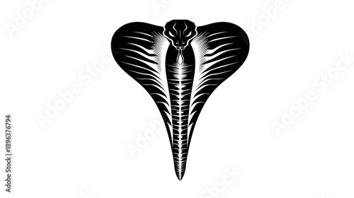 Striking Cobra Snake Head Vector Illustration. Dangerous Reptile in Aggressive Pose. Black and White Design Element.