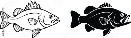 Fish Silhouette Outline Bass Illustration Aquatic Animal Marine Wildlife Fishing Logo Vector Black White Design