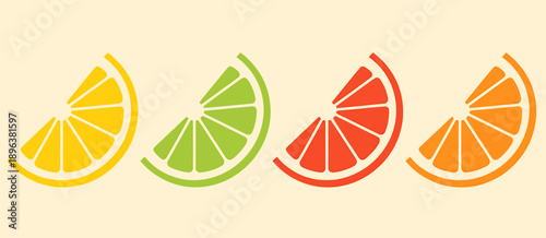 Colorful citrus fruit slices icons in different shades