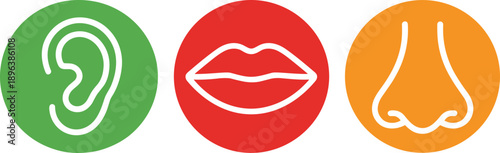 Human senses icon set, ear, lips, nose symbols in colorful circles, minimal vector design for education, healthcare, infographic, and UI