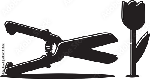 "Black silhouette illustration of garden shears beside tulip flower, minimalist decorative artwork symbolizing gardening, cultivation, beauty versus destruction and creative modern stock design"