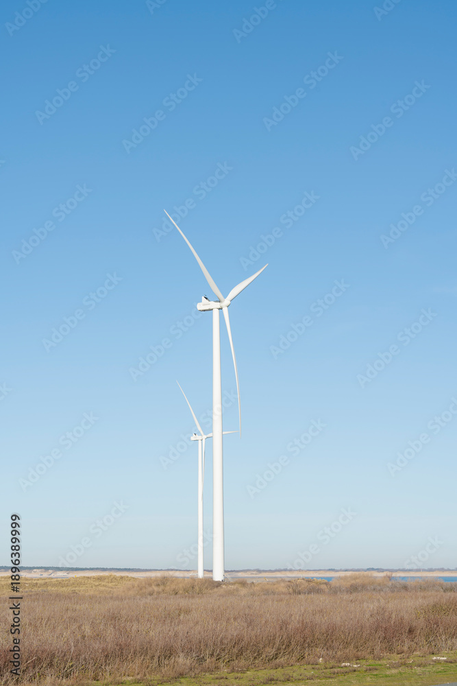 Fototapeta premium Wind turbines stand tall in a field under a clear blue sky.