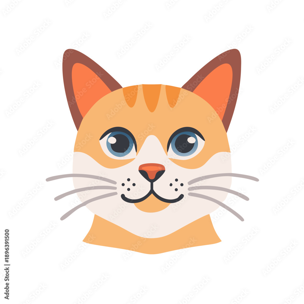 Obraz premium cat portrait 