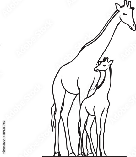 "Giraffe Parent and Calf – Black and White Line Drawing Depicting Wildlife Bond, Family Love, and Nature’s Grace"