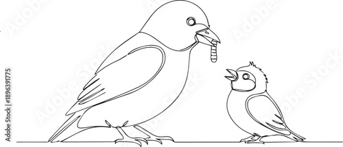"Bird Feeding Chick – Black and White Line Drawing Depicting Parental Care, Nature Bond, and Wildlife Behavior"