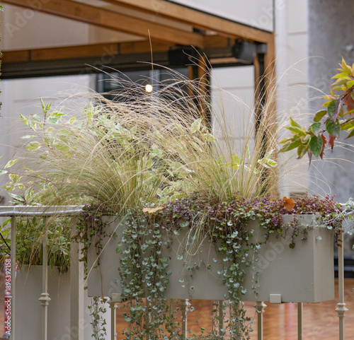 balcony with flowers