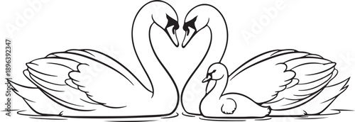 "Swan Family Line Art – Graceful Black and White Drawing Symbolizing Love, Unity, and Nature for Artistic and Decorative Use"