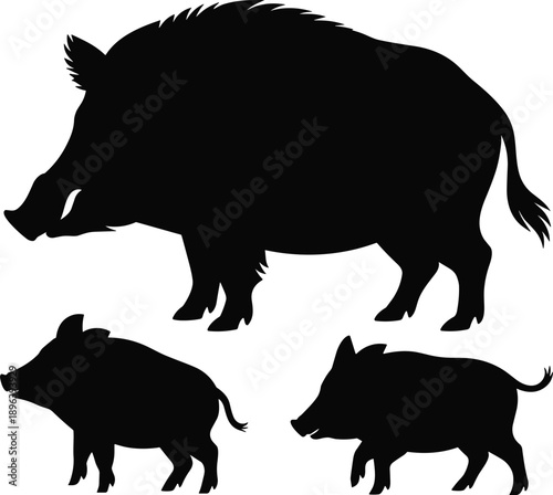 Silhouette of wild boar family with adult and piglets representing wildlife nature strength protection forest animals habitat survival ecology hunting