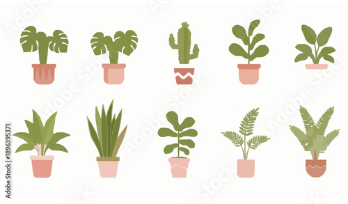 Cute potted houseplants vector set in flat cartoon style for home decor and interior design
