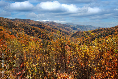 Autumn Colors of Blue Ridge and Smoky Mountain Ranges, NC