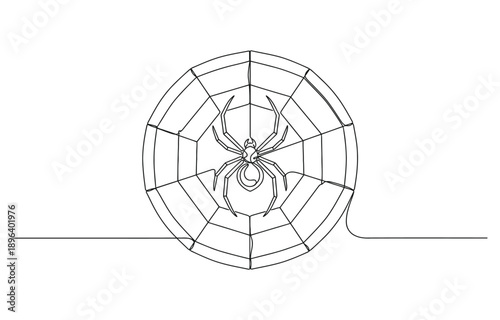 continuous drawing of a spider weaves a web in one line.