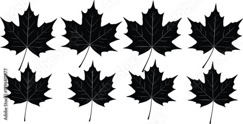 maple leaves silhouettes autumn foliage pattern botanical nature seasonal decoration black white vector background illustration