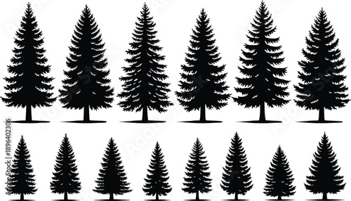 pine tree trees silhouette forest nature evergreen conifer winter woodland black vector collection set