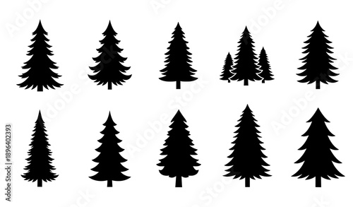 Fir tree and pine tree vector icon set isolated on white background