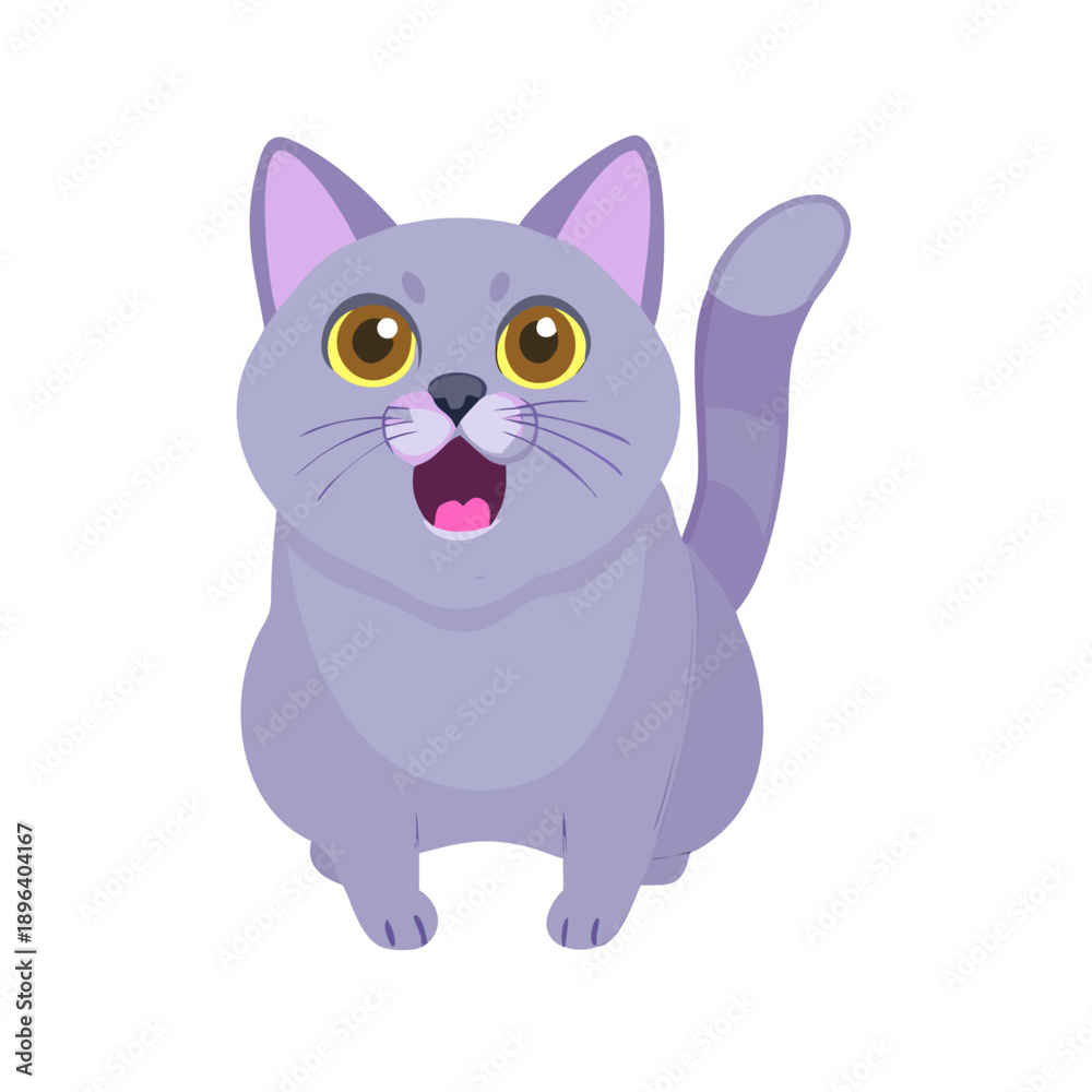 Obraz premium A lilac British cat looking up. The cat opened his mouth with a mad look. The concept of an animal that is surprised or amazed. The figure of a cat on ... See More