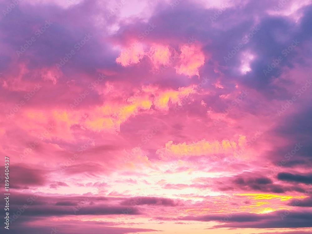 Fototapeta premium Winter Landscape with Pink Sunset Sky