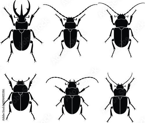 A collection of six black beetle silhouettes against a white background in silhouette mode