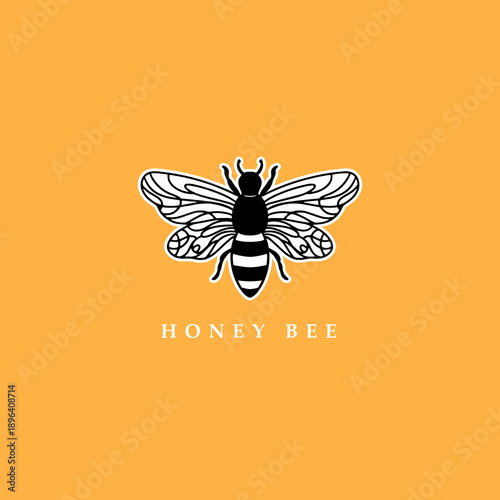 Honey Bee vector design templete. Vintage bee for logo, label, sublimation, sticker.