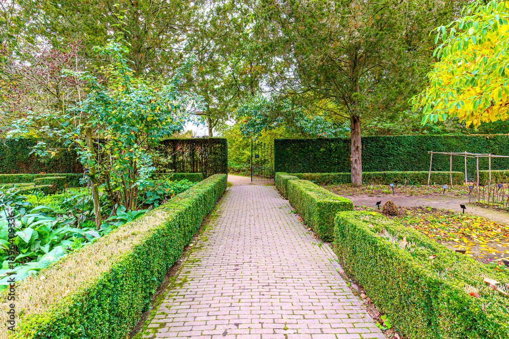 Obraz premium Cobblestone path between green bushes in botanical garden with few plants, patio fragrant with cultivated plants, autumnal trees in background, yellowish-green foliage, cloudy day in Belgium