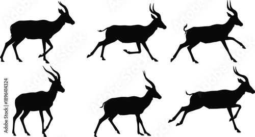 PrintAntelope silhouette, wildlife vector, animal motion, running antelope, leaping gazelle, African fauna, graceful mammal, black silhouette, stock 