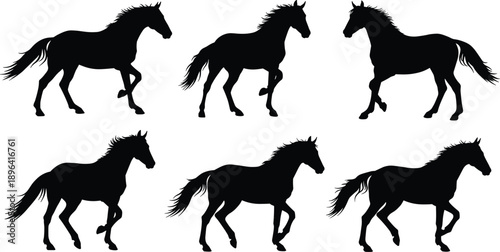 Black horse silhouettes in walking and trotting poses, equine motion study, animal gait sequence, vector art for animation, design, illustration