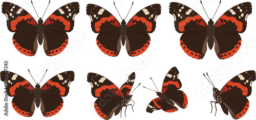 Red Admiral Butterfly Vector Icon Set Featuring Realistic Wing Patterns and Various Flying Poses for Nature Education, Wildlife Research, Garden Design, and Biological Illustrations
