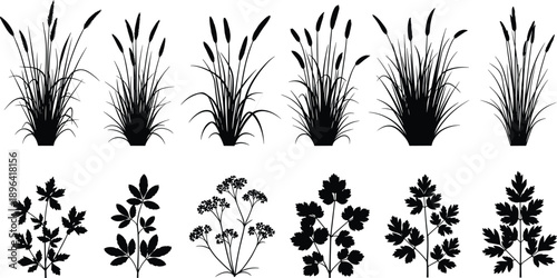 Black silhouette grass and wild plant collection, botanical foliage elements, meadow plants shapes, minimalist nature vector illustration set