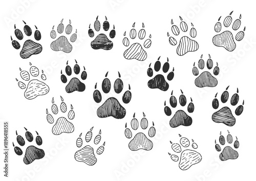 Hand-Drawn Paw Prints Pattern: A Collection of Animal Tracks