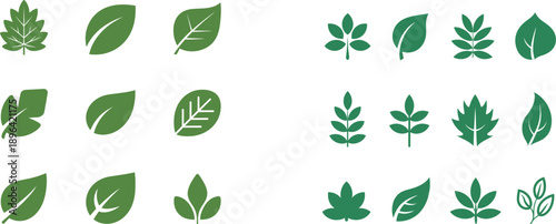 Green leaf in various shapes and sizes on white background green leaves leaf plant symbols