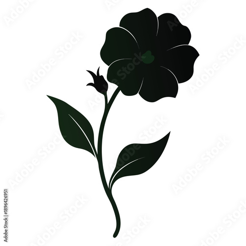 calibrachoa million bells silhouette on white background