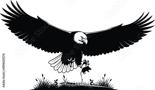Bald eagle silhouette hunting prey powerful wingspan wildlife illustration black white vector art predator bird nature symbol strength freedom concept