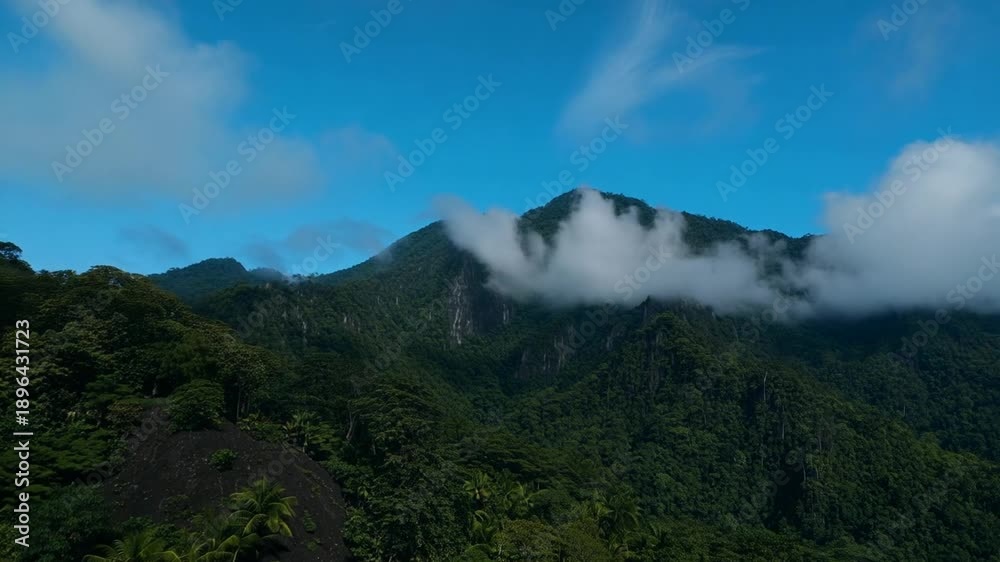 custom made wallpaper toronto digitalLush Tropical Mountain Landscape with Clouds and Blue Sky in the Seychelles