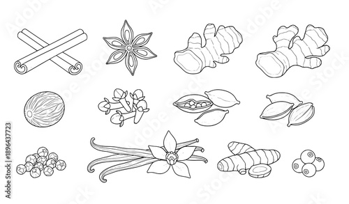 Hand-drawn black and white spice vector set including cinnamon, star anise, ginger, nutmeg, and cloves for culinary designs