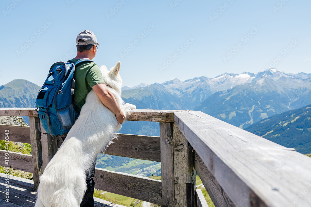Fototapeta premium Hiker embracing white swiss shepherd dog enjoying mountain view from wooden terrace
