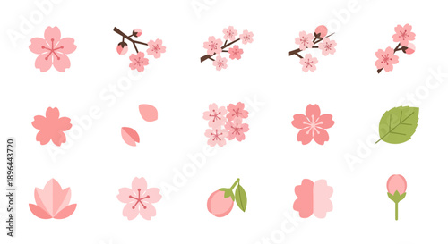 Collection of Cherry Blossom Elements and Flowers.