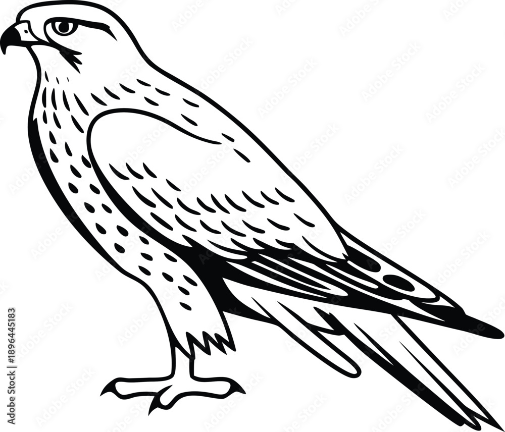 Obraz premium Hawk icon silhouette in details single icon