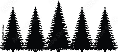 Pine tree silhouette set, forest icon, nature symbol, evergreen design, outdoor landscape graphic, black white artwork, flat vector illustration