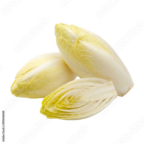 Fresh Belgian endive shown whole and sliced, revealing pale yellow layered leaves with crisp texture and moisture droplets. Clean vegetable photography for healthy cooking concepts.