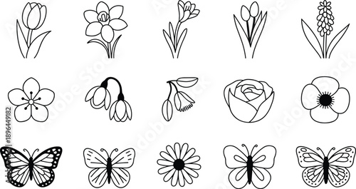 Assortment of delicate hand-drawn line of spring flowers and butterflies for nature-themed butterfly