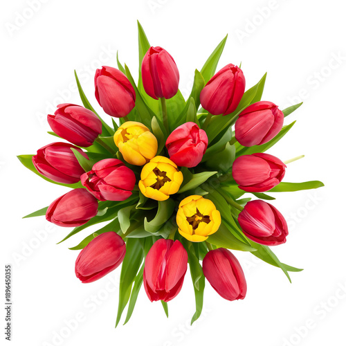 Bright Red Tulips Arranged in a Neat Bunch on a White Background During Sprin...