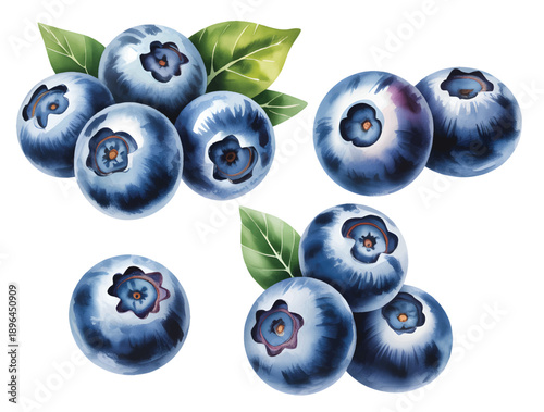Fresh garden blueberries with leaves in hand-painted watercolor.