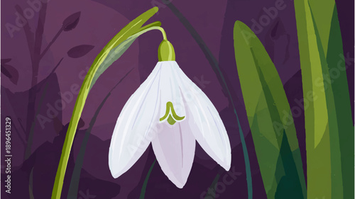 Snowdrop Flower with Long Shadow on Blue


