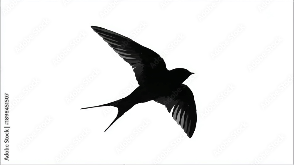 Fototapeta premium Swallow Silhouette Soaring Against White Background