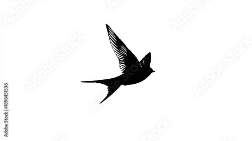 Swallow Silhouette Soaring Against White Background

