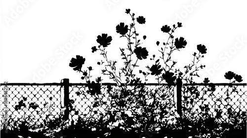 Garden Flowers Silhouetted Behind Picket Fence Against White Background

