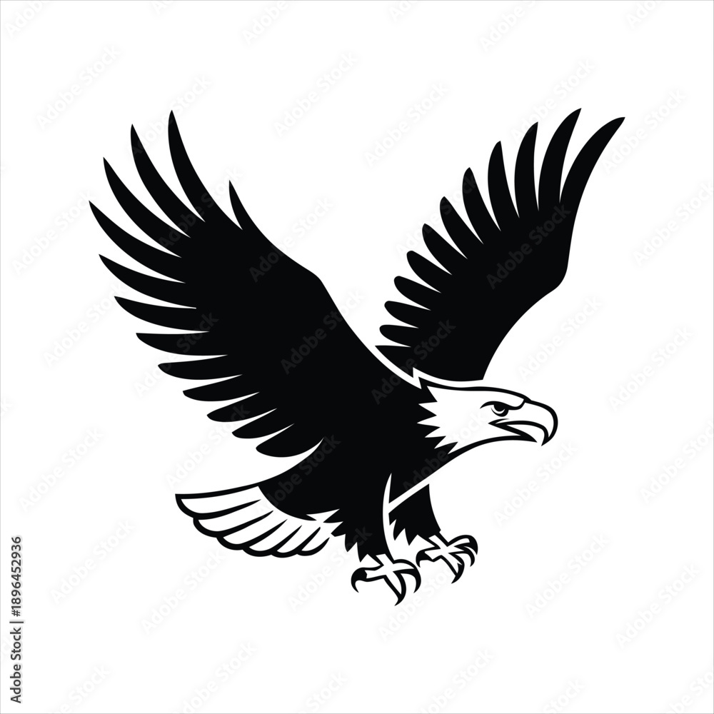 Fototapeta premium Bald eagle flying wings spread black white illustration freedom power