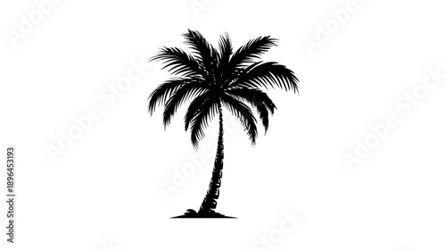 Silhouetted illustration of a palm tree against a plain white background