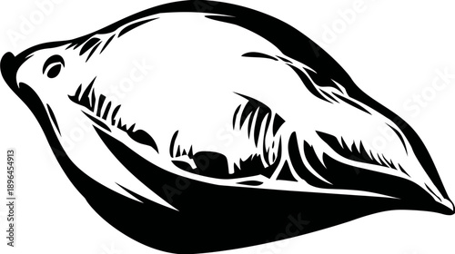 Stylized, black and white image suggesting a creature's head, possibly a fish, with sharp teeth