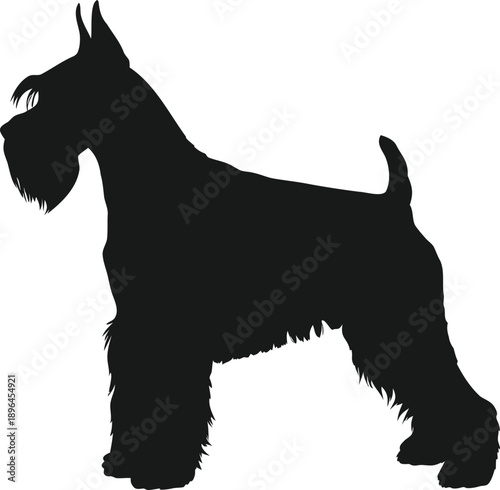 Schnauzer silhouette, Schnauzer outline, Schnauzer shape, Schnauzer icon, Schnauzer dog, Terrier silhouette, Terrier outline, Pet silhouette, Puppy silhouette, Animal silhouette
