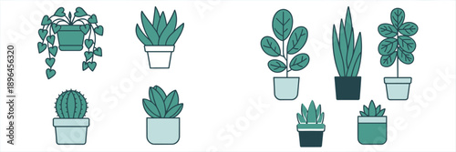 Indoor houseplants vector set in pots, modern flat illustration of succulents and leafy plants, minimal botanical decor collection isolated on white
